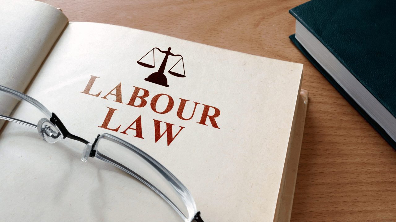 South African Labour Law and Your Business - Labour Law with Luzan